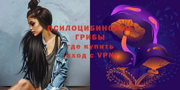 спиды Белокуриха