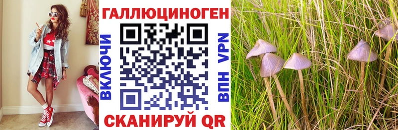 Псилоцибиновые грибы мицелий  закладки  Крымск 
