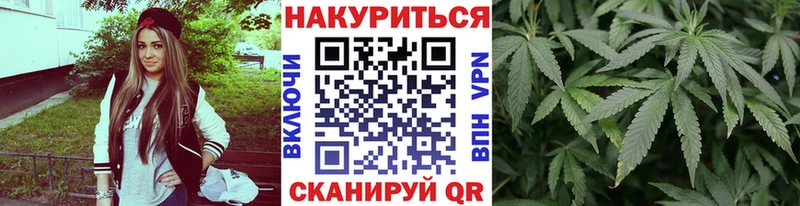 где купить   Крымск  Шишки марихуана конопля 